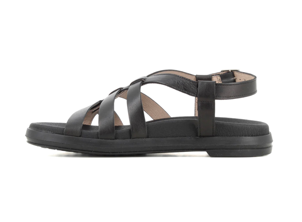 Wonders B-7433 Black Iseo V Negro Toni Leather Buckle Sandal Made In Spain